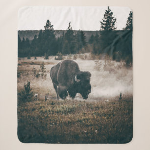 BROWN BISON OP BROWN GRASS FIELD TIJDENS DAG SHERPA DEKEN