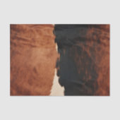 Brown Black Southwest Faux Koeienhuid Tissuepapier (Voorkant)