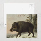  Brown Boar Hunting Schilderij, Wildlife Art Briefkaart (Voorkant / Achterkant)