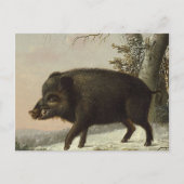  Brown Boar Hunting Schilderij, Wildlife Art Briefkaart (Voorkant)