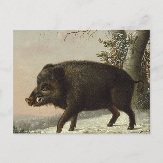  Brown Boar Hunting Schilderij, Wildlife Art Briefkaart (Voorkant)
