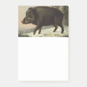 Brown Boar Hunting Schilderij, Wildlife Art Post-it® Notes