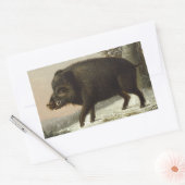  Brown Boar Hunting Schilderij, Wildlife Art Rechthoekige Sticker (Envelop)