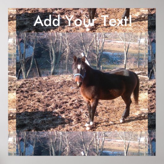 Brown Boerderij Horse Raleigh Poster (Voorkant)