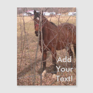 Brown Boerderij Horse West Virginia