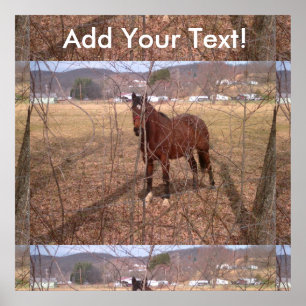Brown Boerderij Horse West Virginia Poster