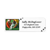 Brown Border Collie Agility Etiket (Voorkant)