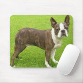 Brown Boston Terrier Standing Mousepad Muismat (Met muis)