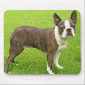 Brown Boston Terrier Standing Mousepad Muismat (Voorkant)