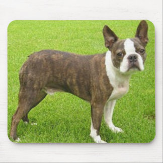 Brown Boston Terrier Standing Mousepad Muismat