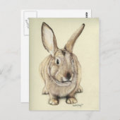 "Brown Bunny" Animal art Briefkaart (Voorkant / Achterkant)