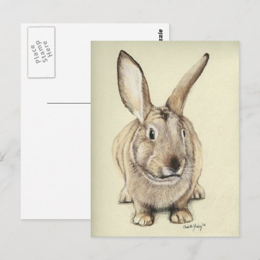 "Brown Bunny" Animal art Briefkaart (Voorkant / Achterkant)