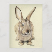 "Brown Bunny" Animal art Briefkaart (Voorkant)