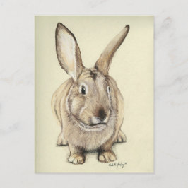 "Brown Bunny" Animal art Briefkaart
