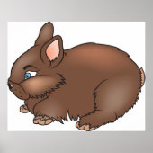 Brown Bunny Rabbit Poster (Voorkant)