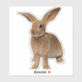 Brown Bunny Sticker (Vel)