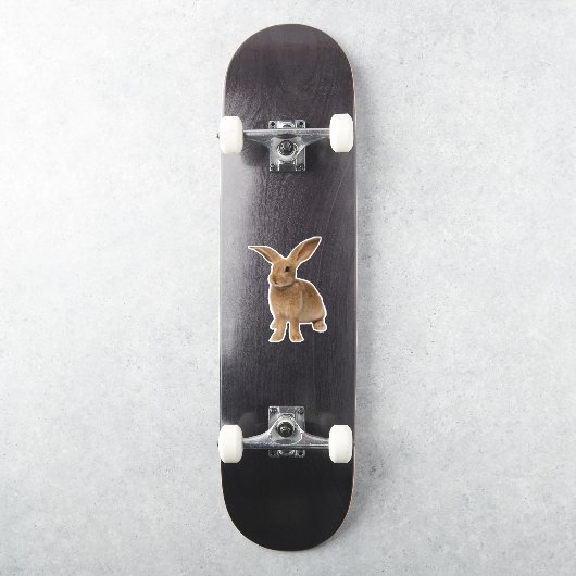 Brown Bunny Sticker (Skateboard)