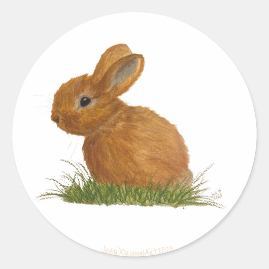 Brown Bunny Sticker (Voorkant)