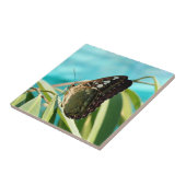 Brown Butterfly Closed Wings Tegeltje (Zijkant)