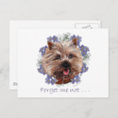 Brown Cairn Terrier Vergeet me-niet Briefkaart (Voorkant / Achterkant)