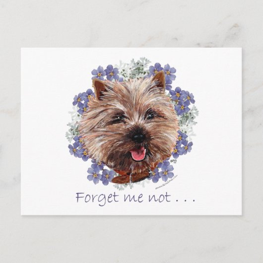 Brown Cairn Terrier Vergeet me-niet Briefkaart (Voorkant)