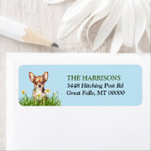 Brown Chihuahua Dog Daffodil Garden Etiket (Insitu)