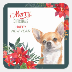Brown Chihuahua Dog Poinsettia Border Kerstmis Vierkante Sticker
