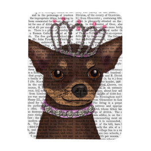 Brown Chihuahua en Tiara Magneet