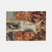 Brown Chihuahua Puppy Fleece Deken (Voorkant (Horizontaal))