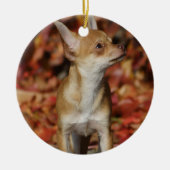 Brown Chihuahua Puppy Keramisch Ornament (Voorkant)