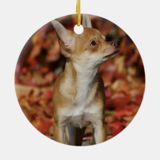 Brown Chihuahua Puppy Keramisch Ornament (Achterkant)