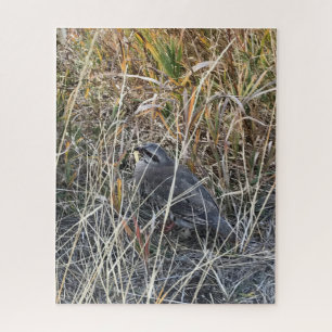 Brown Chukar Partridge bijna verborgen Legpuzzel