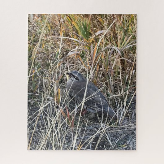 Brown Chukar Partridge bijna verborgen Legpuzzel (Verticaal)