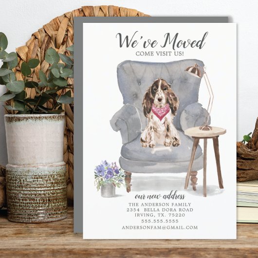 Brown Cocker Spaniel Dog | Verplaatsingsaankondigi Aankondiging