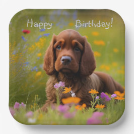 Brown Cocker Spaniel Papieren Bordje