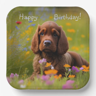 Brown Cocker Spaniel Papieren Bordje