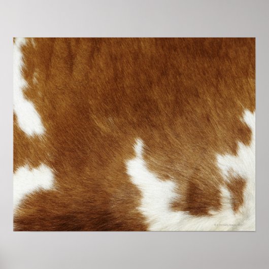 Brown Cowhide Print Poster (Voorkant)