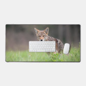 Brown Coyote, Canadese Wildlife Fotografie Bureaumat (Keyboard & Muis)
