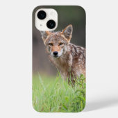 Brown Coyote, Canadese Wildlife Fotografie Case-Mate iPhone Case (Achterkant)