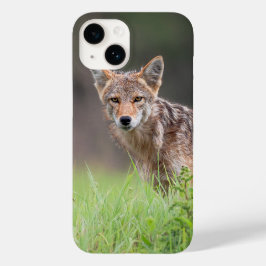 Brown Coyote, Canadese Wildlife Fotografie Case-Mate iPhone 14 Hoesje