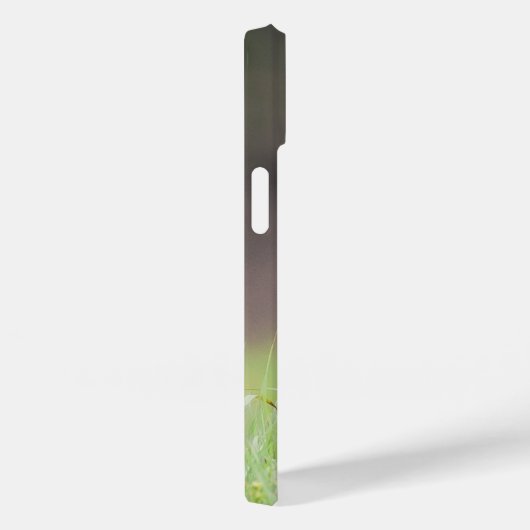 Brown Coyote, Canadese Wildlife Fotografie Case-Mate iPhone Case (Achterkant / Rechts)