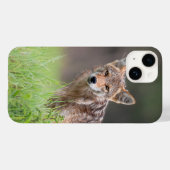 Brown Coyote, Canadese Wildlife Fotografie Case-Mate iPhone Case (Achterkant (horizontaal))