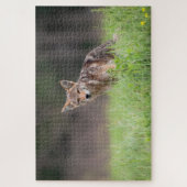 Brown Coyote, Canadese Wildlife Fotografie Legpuzzel (Verticaal)