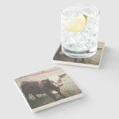 Brown Cream Koe Stenen Onderzetter (Zijkant)