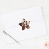 Brown Cream Southwest Koeienhuid Ster Sticker (Envelop)