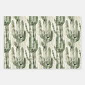 Brown Cream Tribal Native Feathers Verjaardag Inpakpapier Vel (Voorkant 2)