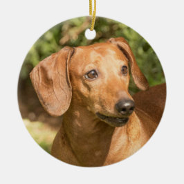 Brown Dachshund Doxie Dog Keramisch Ornament