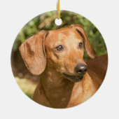 Brown Dachshund Doxie Dog Keramisch Ornament (Achterkant)