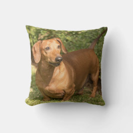 Brown Dachshund - Doxie Kussen