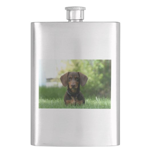 Brown Dachshund Puppy Flacon (Voorkant)